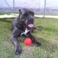 mi lugar favorito el jardin¡¡¡¡¡¡¡¡¡¡¡¡¡¡¡ con mi pelota favorita¡¡¡¡¡¡¡¡¡